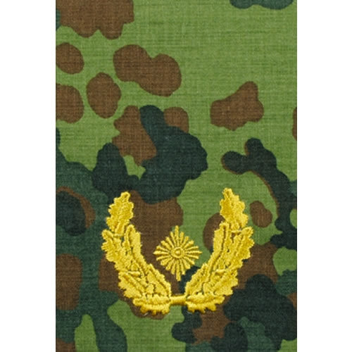 Náramenník BW BRIGADEGENERAL FLECKTARN/zlaté vyšitie