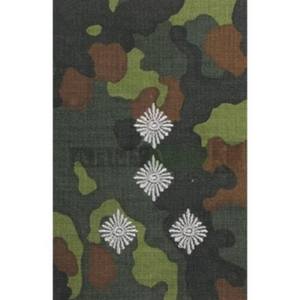 Výložky BW STABSHAUPTMANN FLECKTARN / STRIEBORNÉ